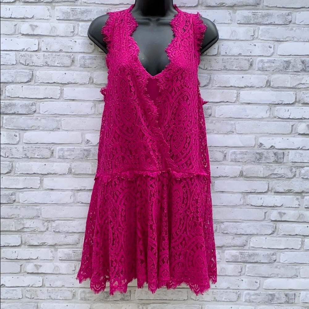 🤍 Free People Raspberry Drop Waist Plunge Lace Dress 🤍